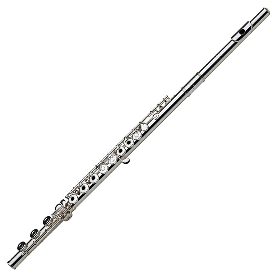 Amazon.com: Gemeinhardt Model 3OB Flute, Open Hole, Offset G